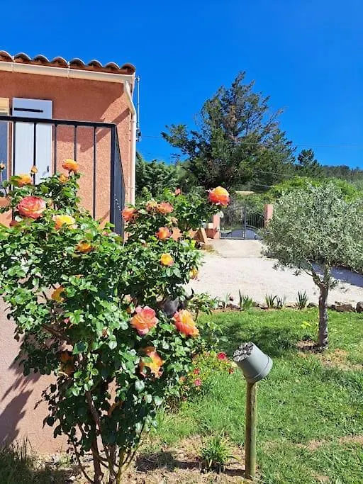 Maison En Provence Verte Entre Mer Et Lacs Villa Camps-la-Source France